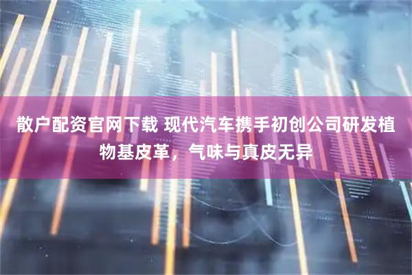 散户配资官网下载 现代汽车携手初创公司研发植物基皮革，气味与真皮无异